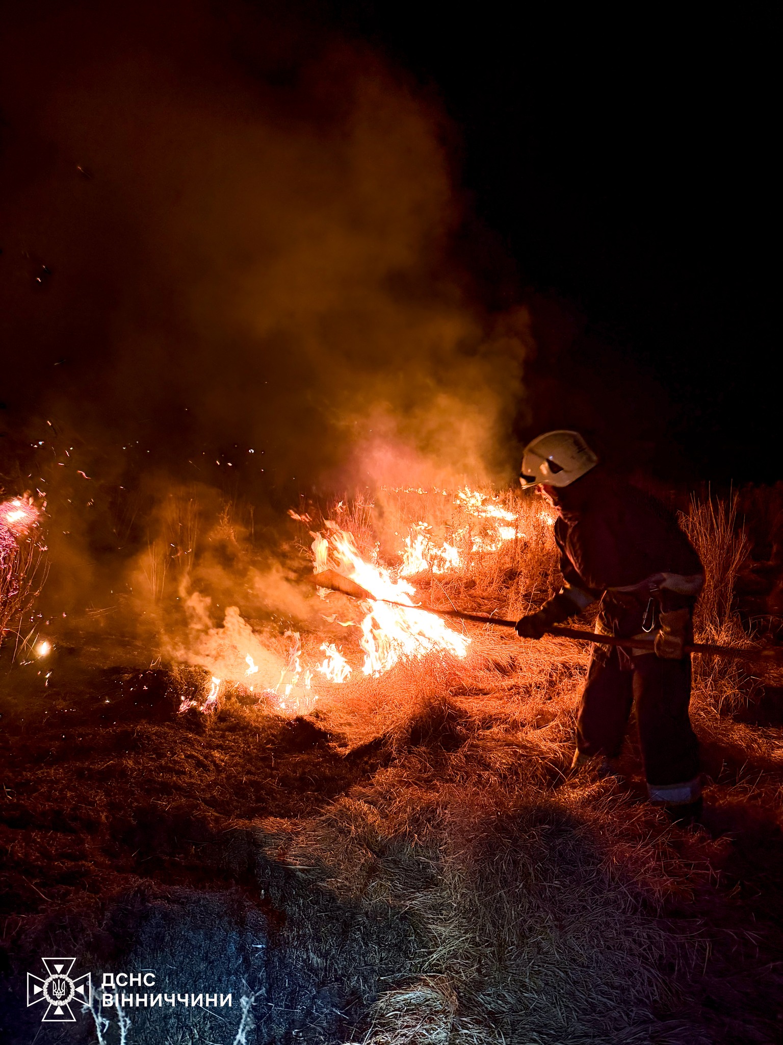 На Вінниччині вогнем обпалено сім гектaрів землі 