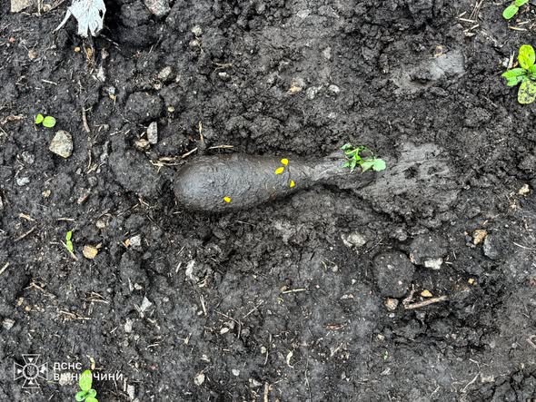 На Вінниччині в полі за містом знайшли мінометну міну