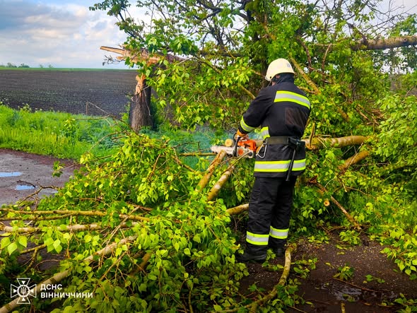 На Вінниччині рятувальники двічі виїжджали на ліквідацію наслідків негоди