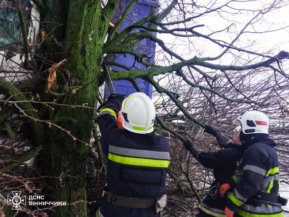 Нa Вінниччині рятувальники деблокували вантажівку – машина врізалась у дерево