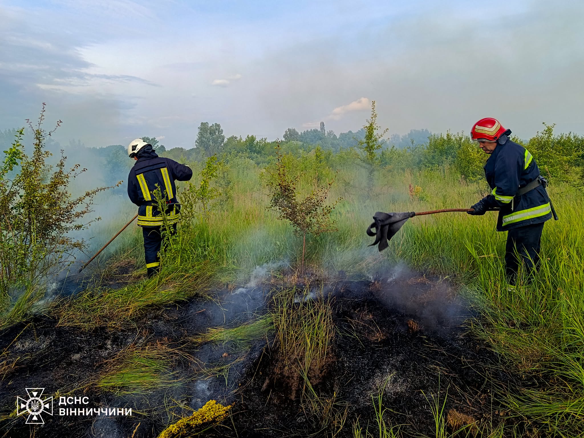 У Вінниці та трьох районах області сталися пожежі на відкритих територіях (ФОТО)