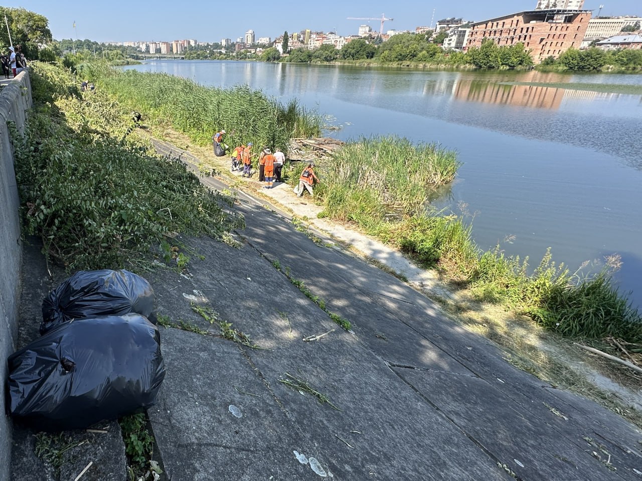 У Вінниці провели толоку на набережній