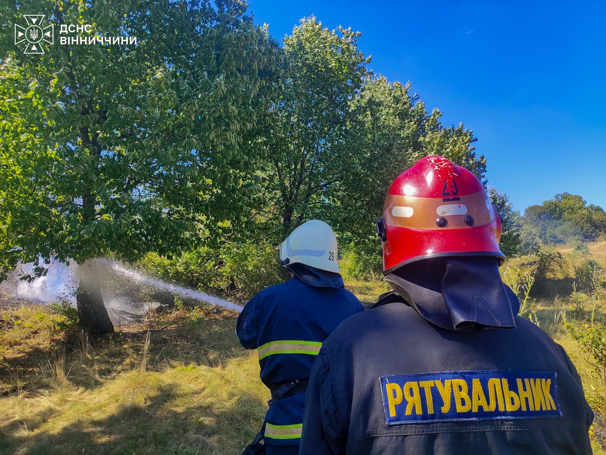 На Вінниччині сталося 13 пожеж в екосистемах