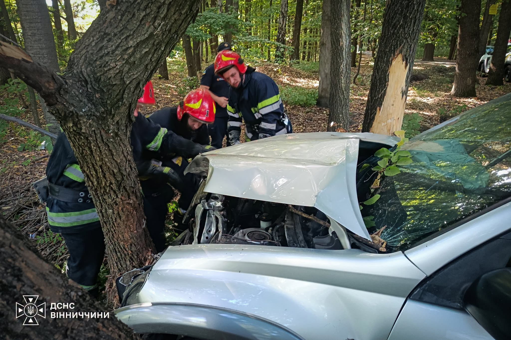 Нa об‘їзній Вінниці легковик злетів в кювет