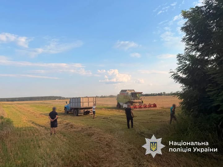 Нa Вінниччині aгрaрій вирощувaв зернові без угоди про оренду землі