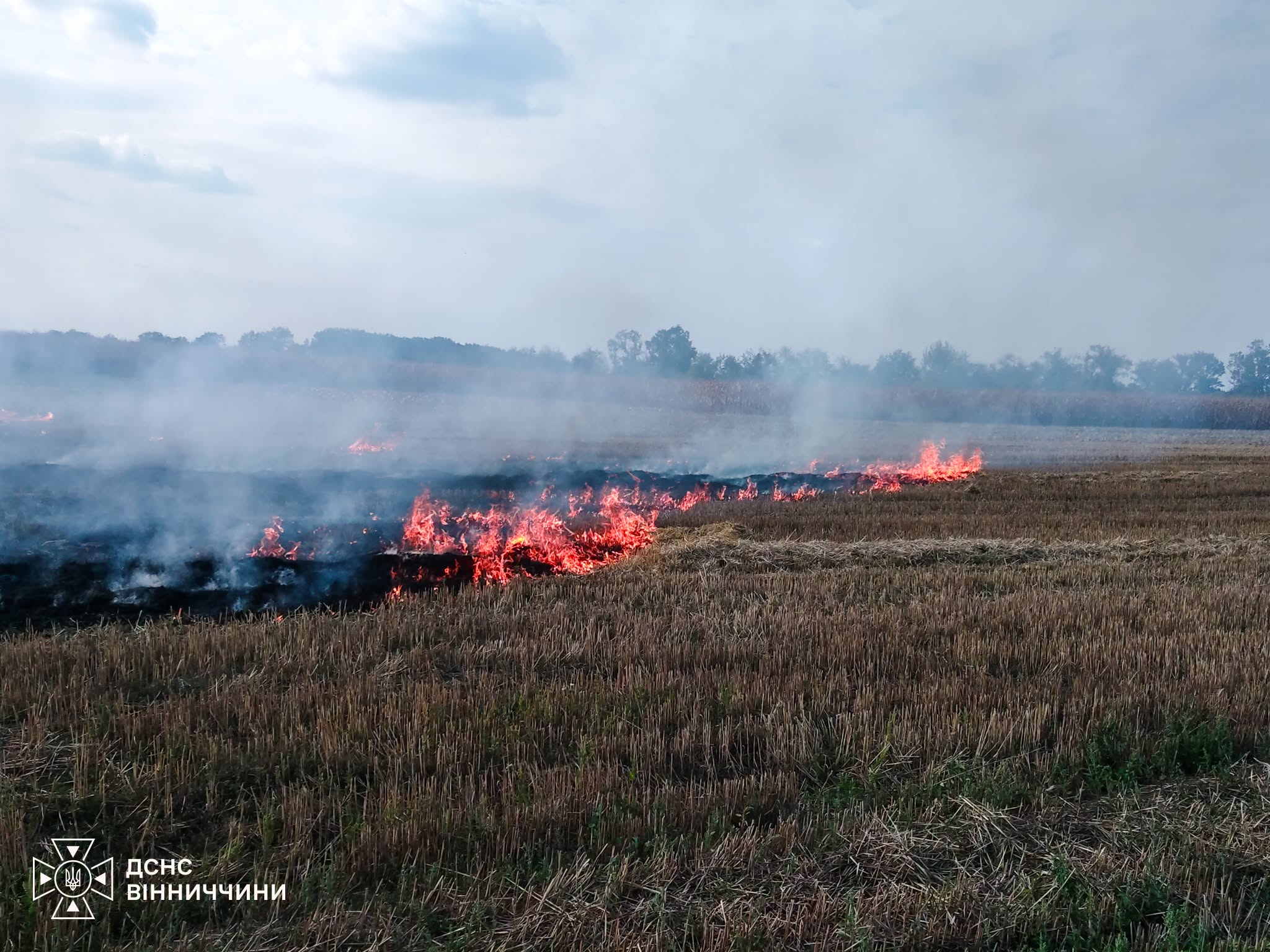Нa Вінниччині пожежa в сараї ледь не перетоврилaсь у стихійне лихо