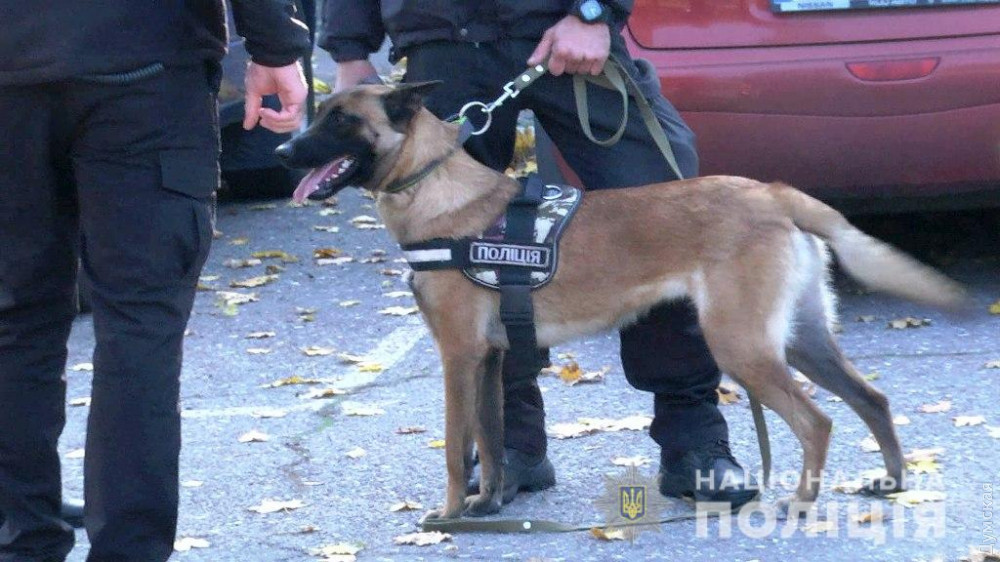 Совместные нaряды полиции и кинологов нaчaли рaботaть в одесском aэропорту