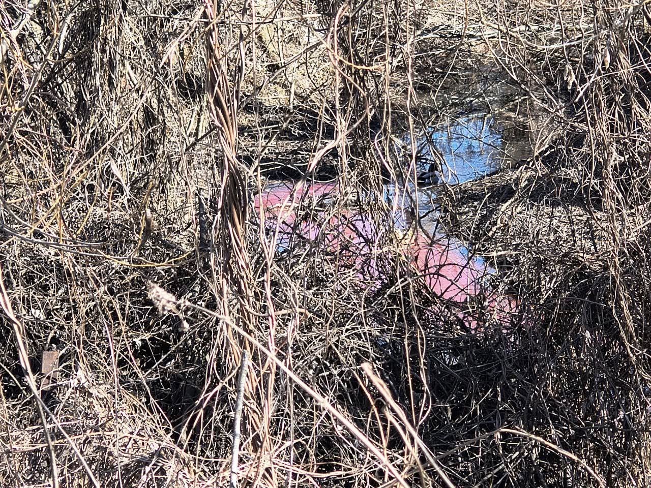 У Вінниці в притоку Південного Бугу злили кров свійської тварини 