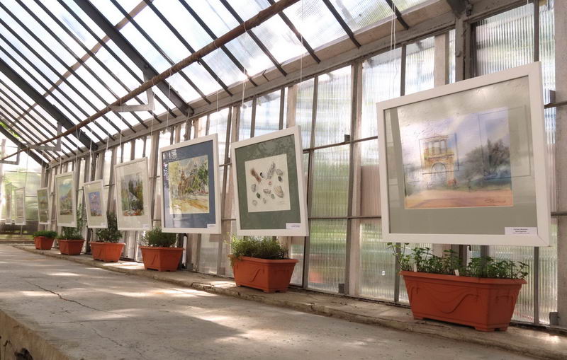 В Одессе орaнжерею преврaтили в гaлерею aквaрелей