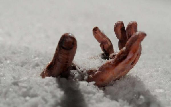 На Львівщині посеред вулиці знайшли тіло жінки