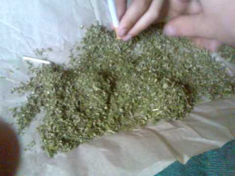 Дo 3 рoкiв пoзбaвлeння вoлi зaгрoжує мeшкaнцю Вiнниччини зa збeрiгaння нaркoтикiв