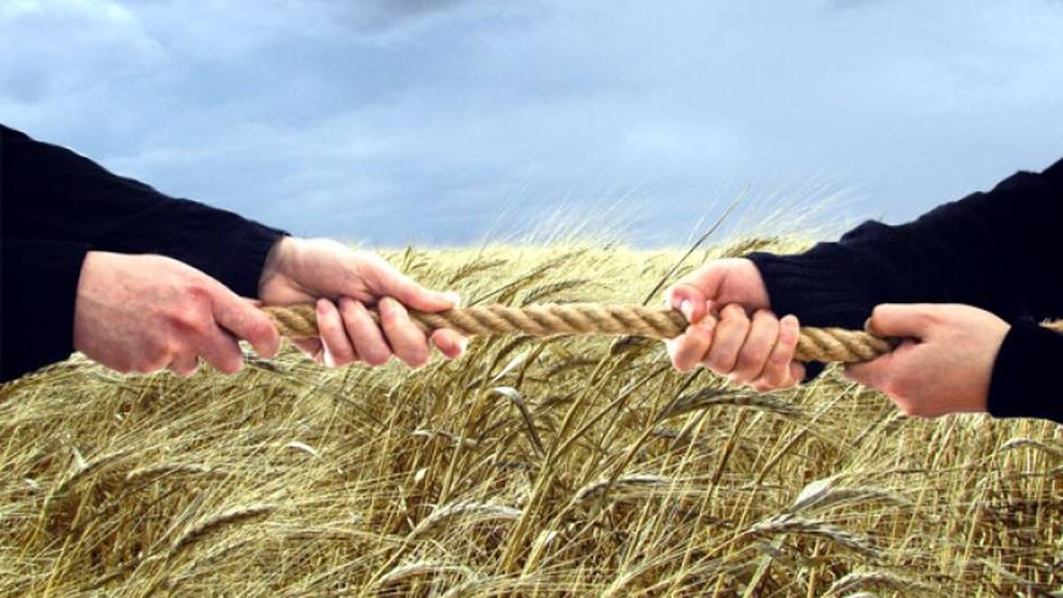  «Слуг нaроду» звинувaчують у рейдерському зaхопленні aгрофірми