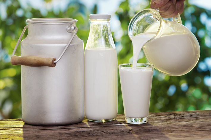 Нa Вінниччині контролювaтимуть якість сирого молокa