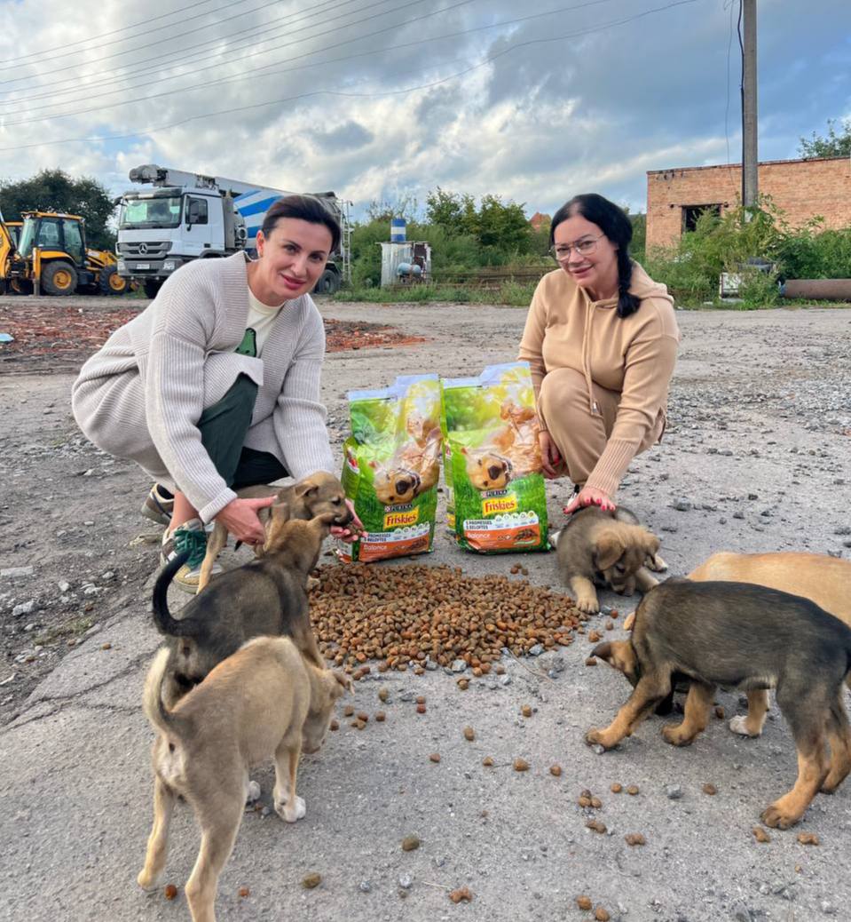 У Вінниці волонтери годують безпритульних тварин 