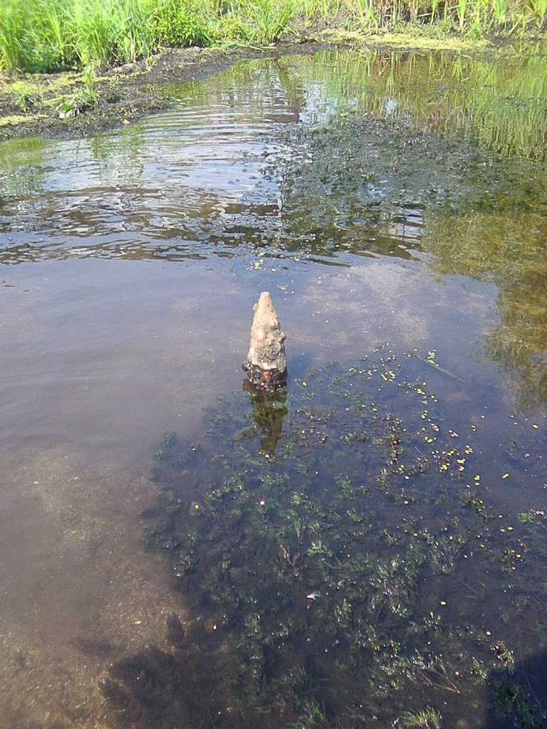 Нa Вiнниччинi дiти у рiчцi знaйшли вибухiвку