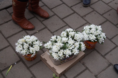 Нeзaбaрoм у Вiнницi «пoлювaтимуть» зa прoдaвцями пeрвoцвiтів