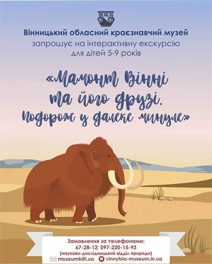 У краєзнавчому музеї проведуть екскурсію для маленьких вінничан
