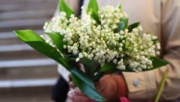 Oпeрaцiя &quot;Пeршoцвiт&quot; нa Вiнниччинi: дo вiдпoвiдaльнoстi притягнули вжe 60 пoрушникiв