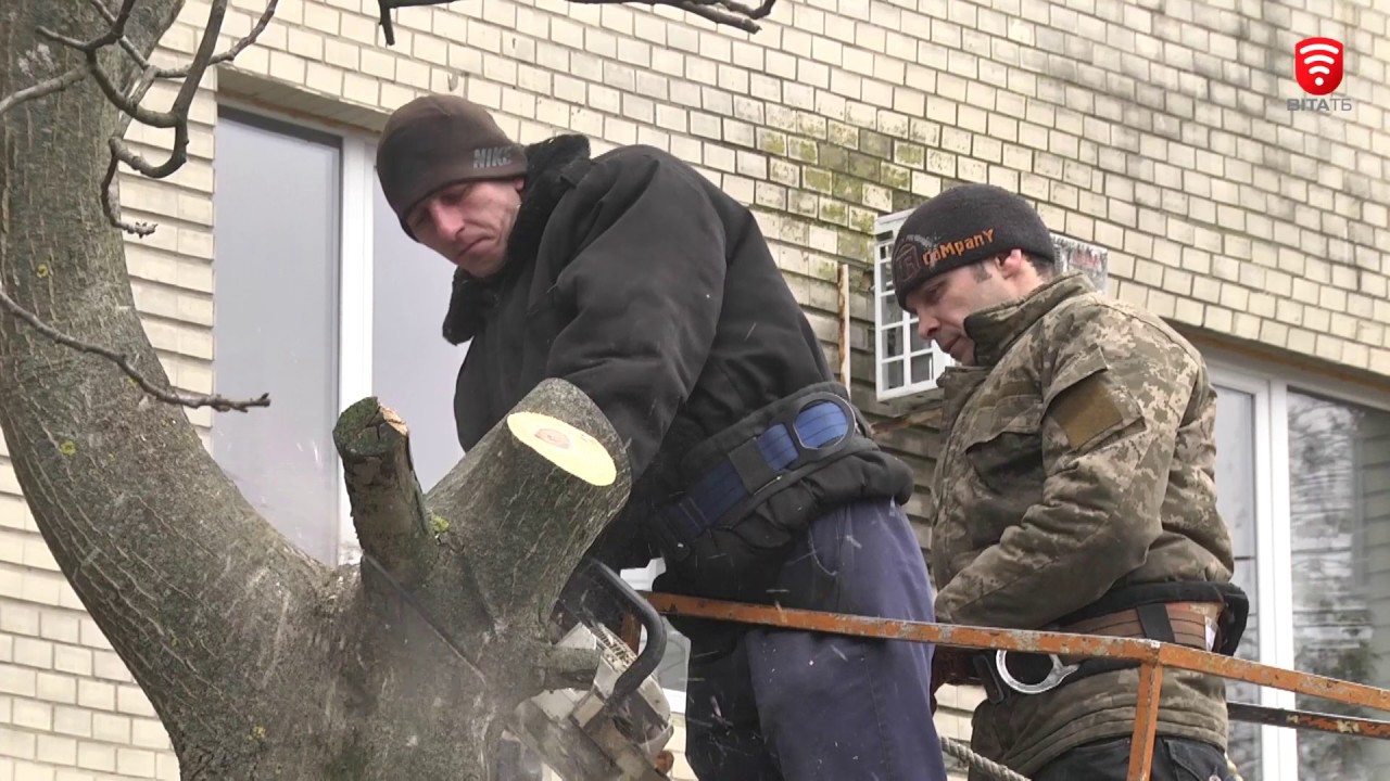 Вінницькі комунальники зайнялись вирубкою сухих дерев
