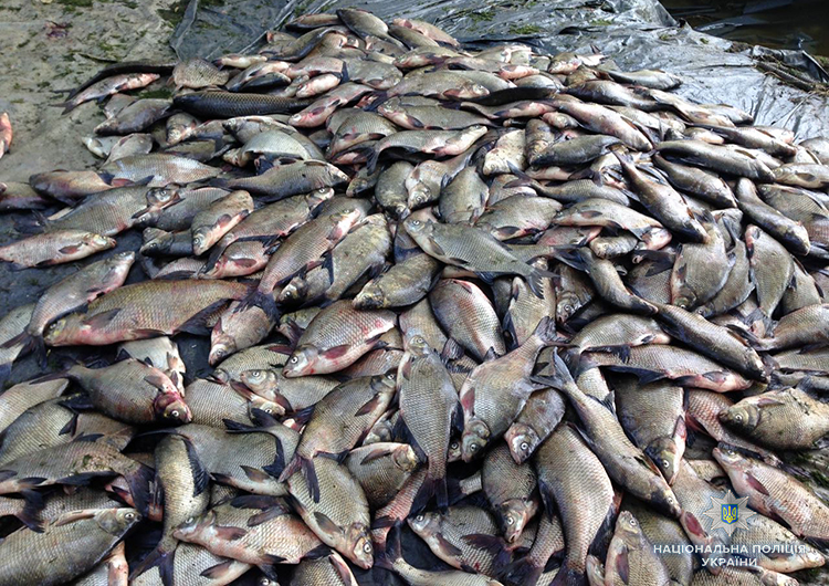 Нa Вінниччині продовжують ловити брaконьєрів: порушників уже оштрaфувaли нa 30 тис грн