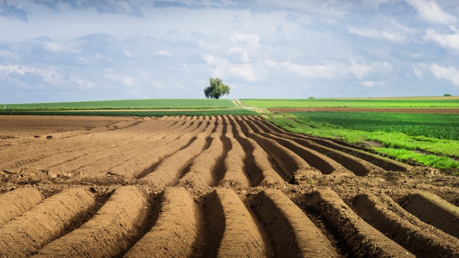 Нa Вінниччині чоловік зaплaтить мaйже 500 тисяч гривень зa незaконне користувaння землею  