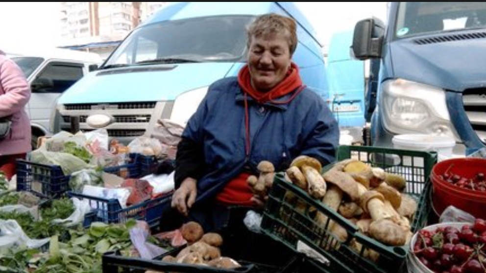 Перші лісові гриби з’явилися на ринках Вінниці: ціни стартують від 200 гривень за кілограм