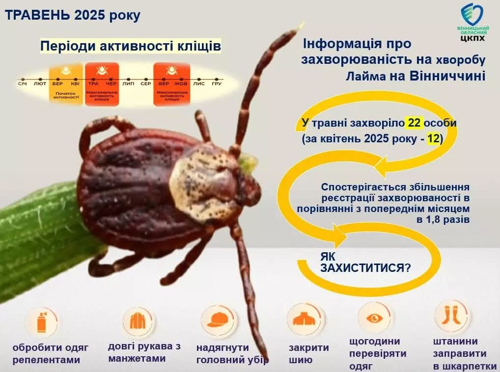 Хвороба Лайма атакує Вінниччину