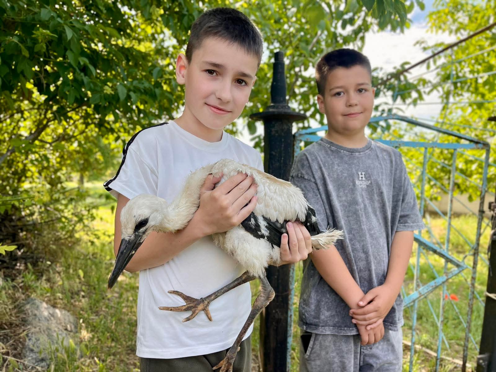 Турбота не тільки про місто, а й про природу