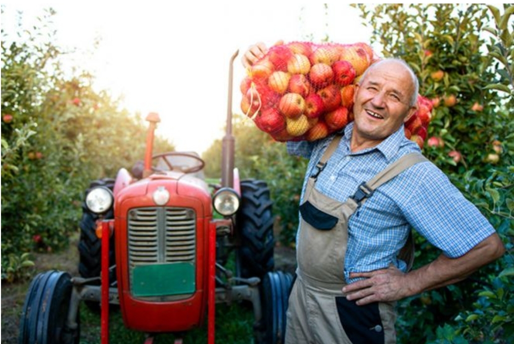 Фермери Вінниччини подали понад 2 тисячі заявок на держпідтримку: що дають і коли виплати