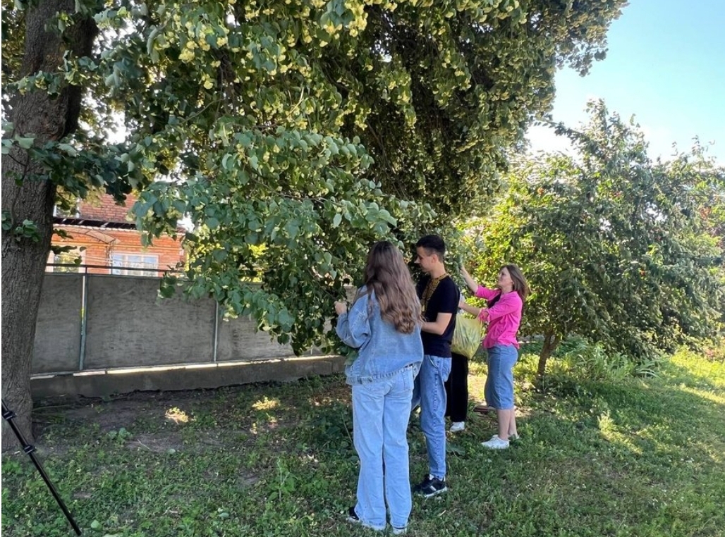 "Хочемо передати частинку рідного дому": школярі з Вінниччини заготовляють трав’яні чаї для захисників