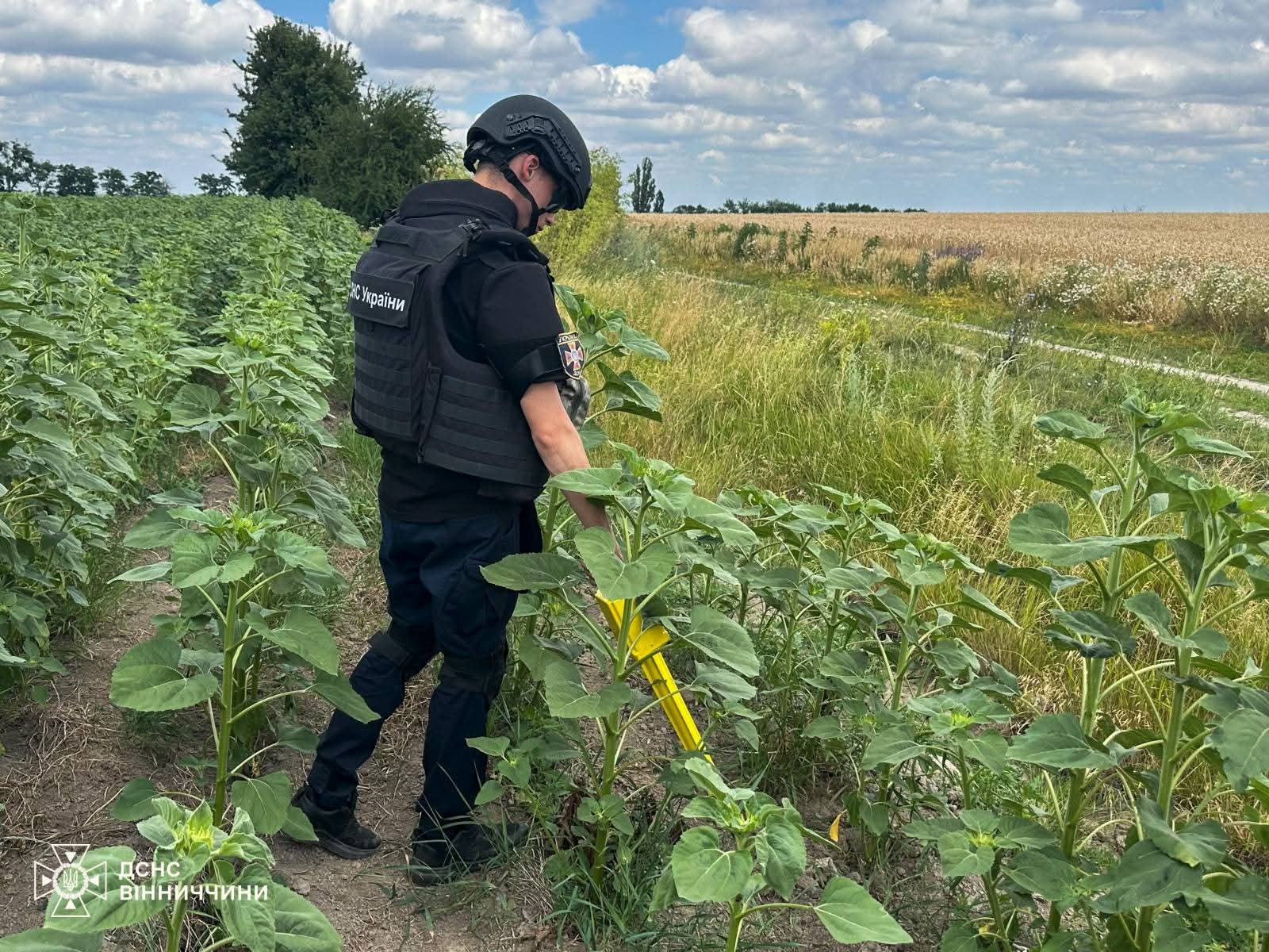 На Вінниччині знешкодили п’ять вибухонебезпечних предметів часів Другої світової