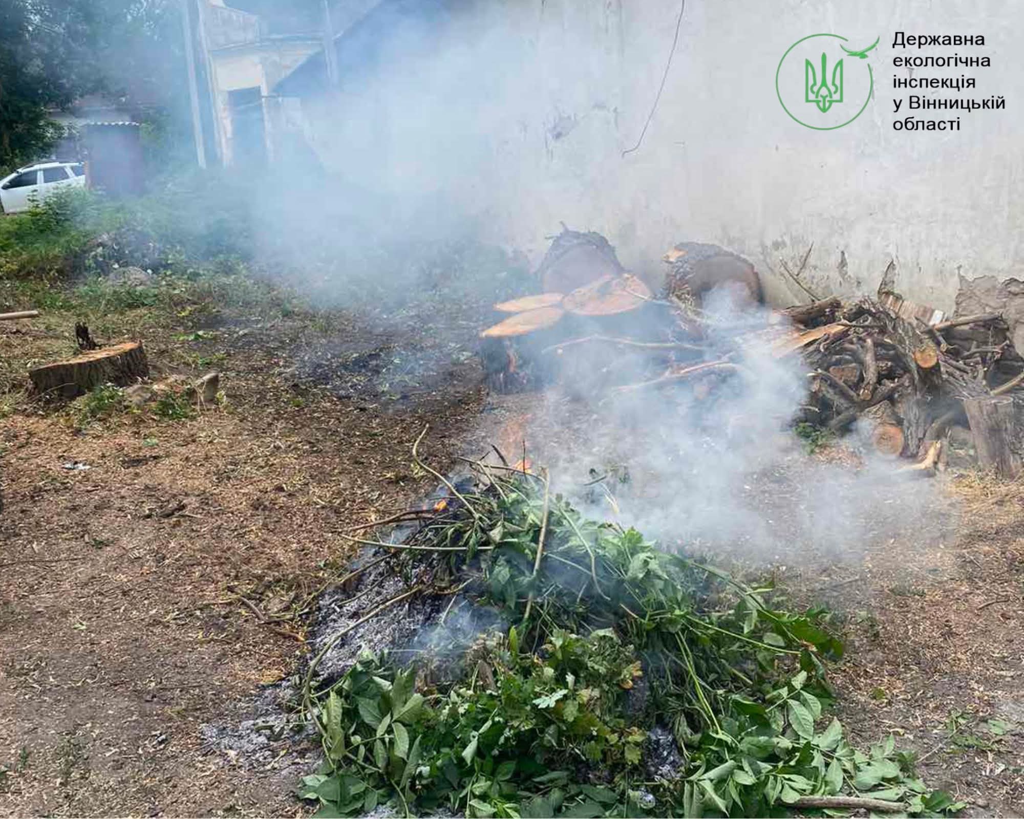 У межах екологічного контролю Державна екологічна інспекція у Вінницькій області зафіксувала факт самовільного випалювання залишків рослинності на території одного з дошкільних закладів, що належить до Ободівської територіальної громади.  Під час перевірк