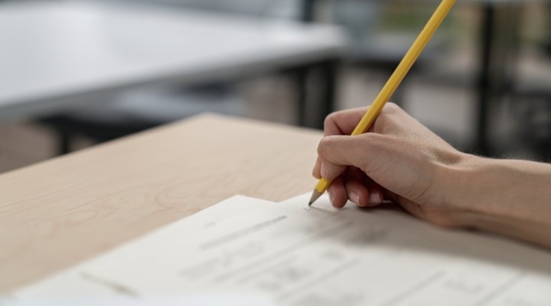 Літні табори на Вінниччині: пригоди, екологія та навички виживання