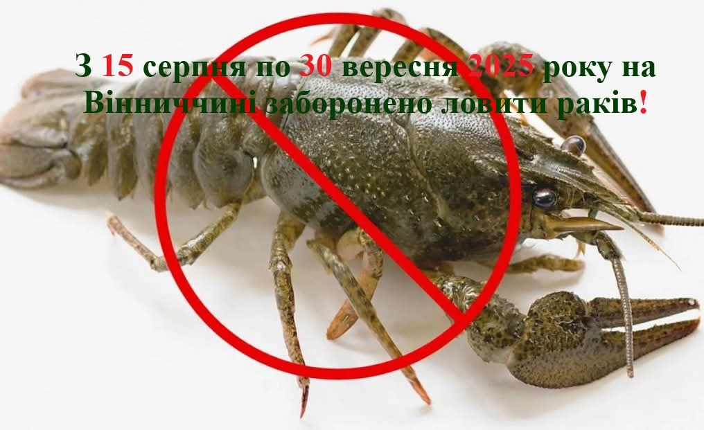На Вінниччині з 15 серпня запроваджують заборону на вилов річкових раків під час другої линьки