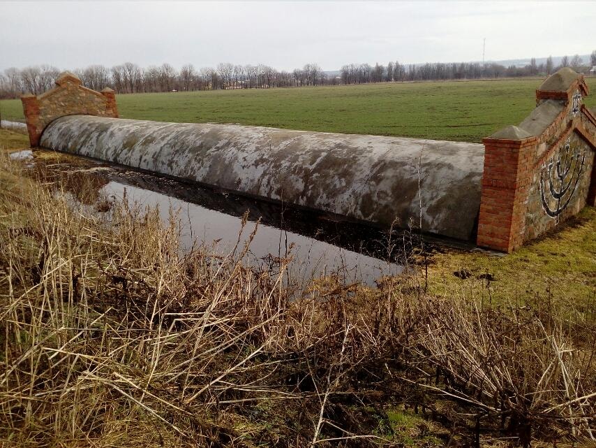 Відходи зі спиртзaводу нa Вінниччині вбивaють рослинність довколa: у мережі виклaли фотопідтвердження
