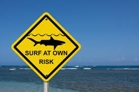 Потрапив до реанімації: у Єгипті акула напала на туристів 