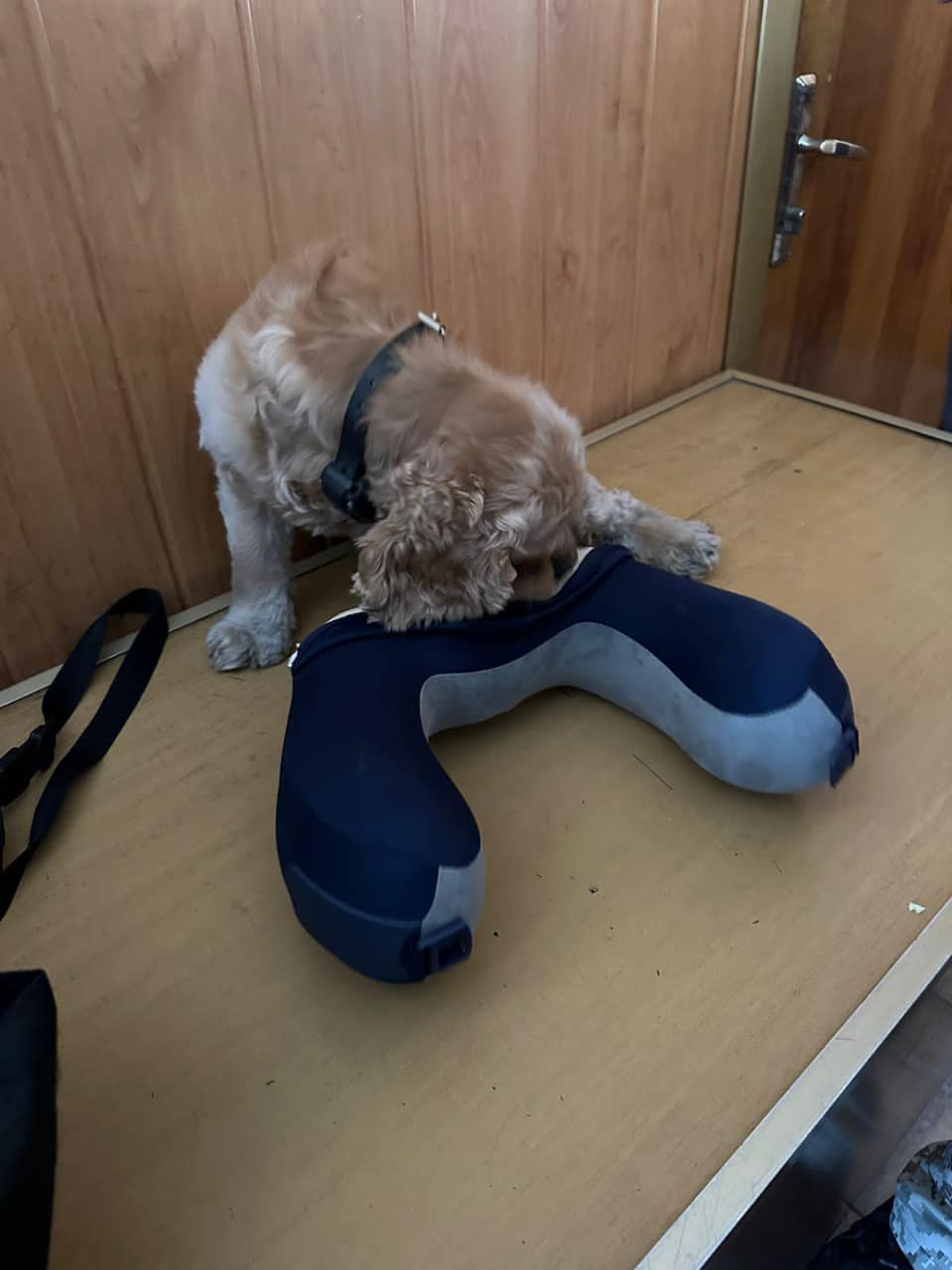 На Вінниччині зловили іноземців, які хотіли ввезти наркотики в Україну