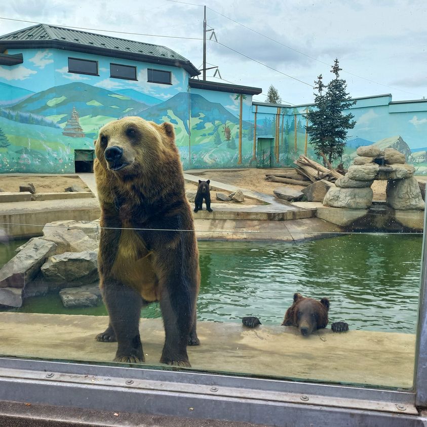 У Вінниці  по-людськи поставились до тварин