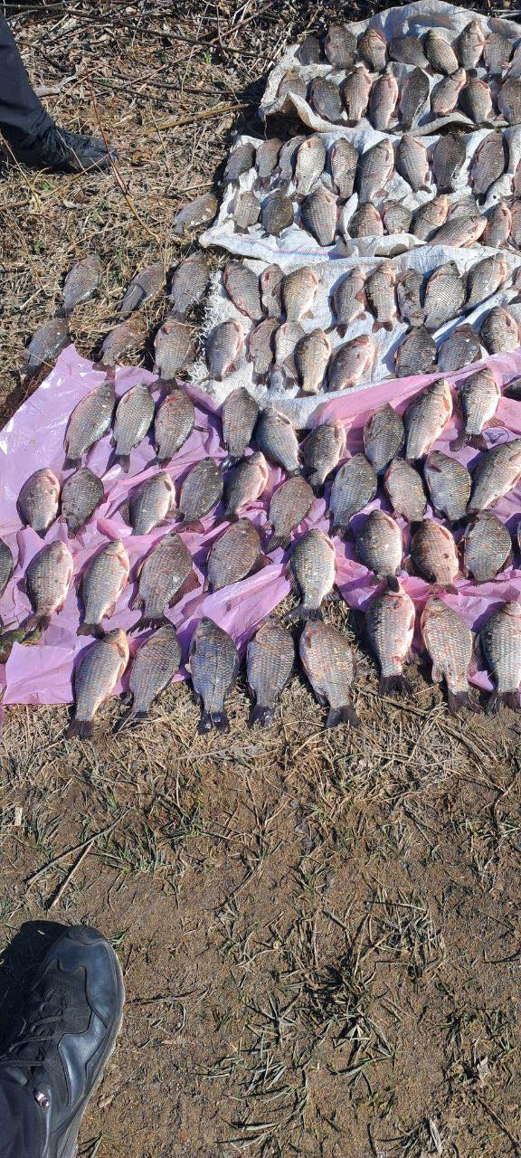 Незаконний вилов на Вінниччині: рибалка завдав збитків на понад 223 тисячі гривень