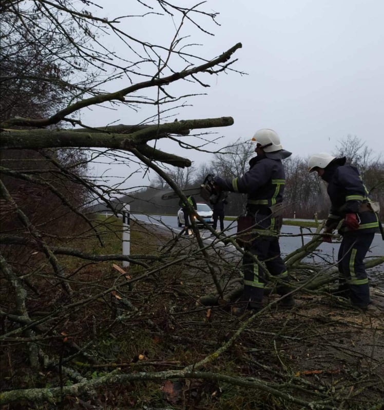 На Вінниччині повалене дерево перекрило трасу (ФОТО)
