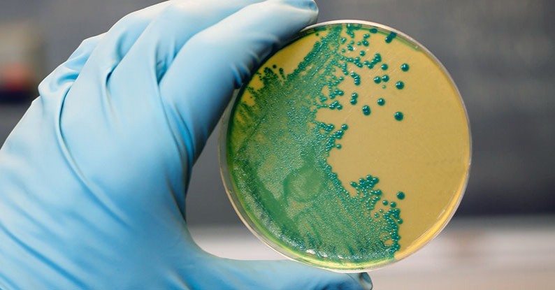 До України прийшла страшна хвороба, яка атакує нервову систему і головний мозок