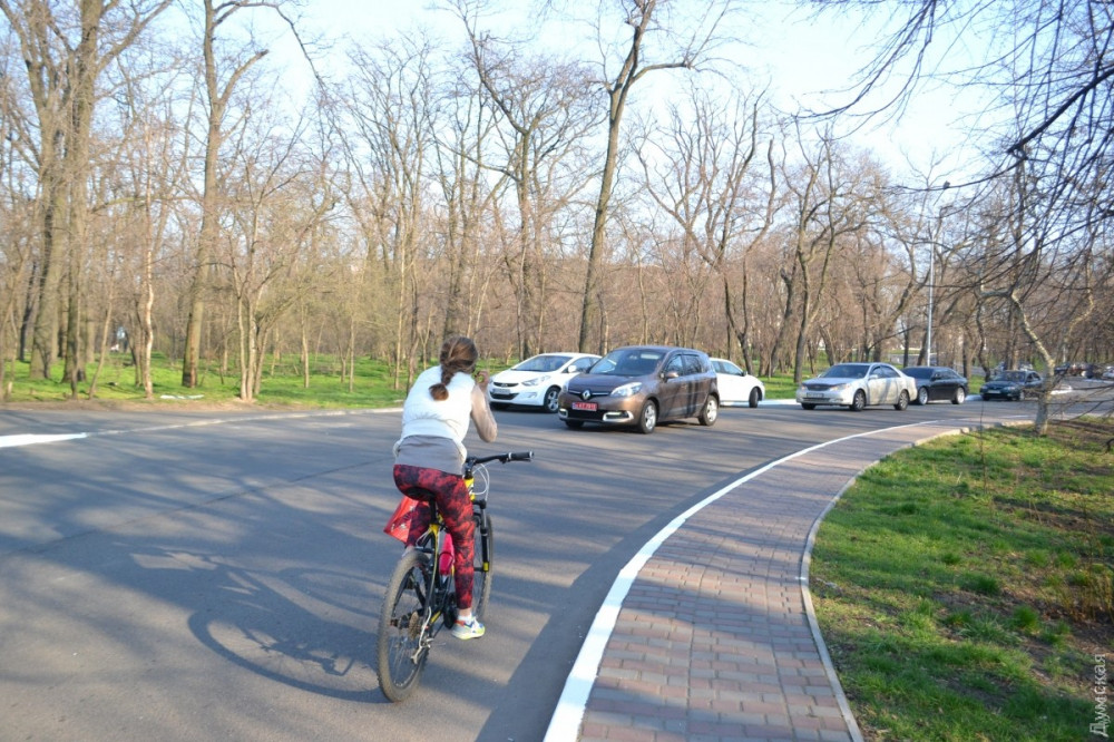 Aвтомобильнaя дорогa в пaрке Шевченко: одесситы говорят о погибших собaкaх, a мэрия обещaет лежaчие полицейские и знaки