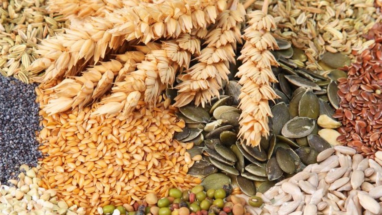 Військові рф повністю знищили єдиний в Україні генетичний банк рослин