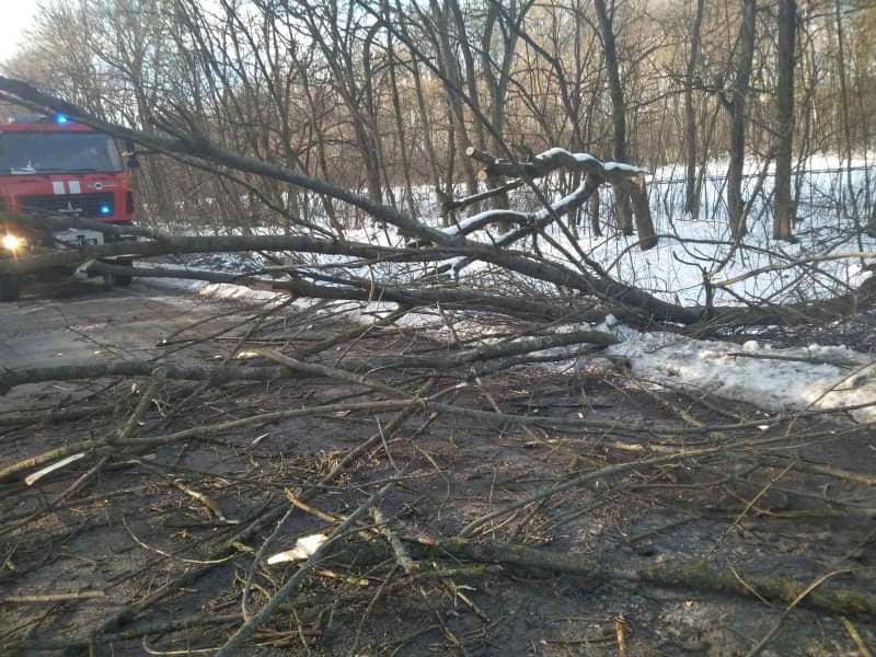 На Вінниччині негода «наламала дров»: з наслідками боролися рятувальники (ФОТО)