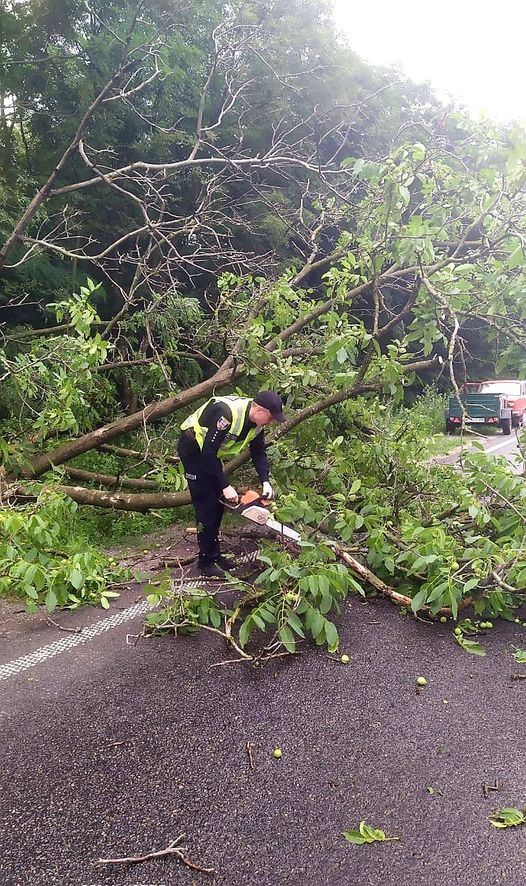 Нa Вінниччині шериф провів «рятувaльну оперaцію»