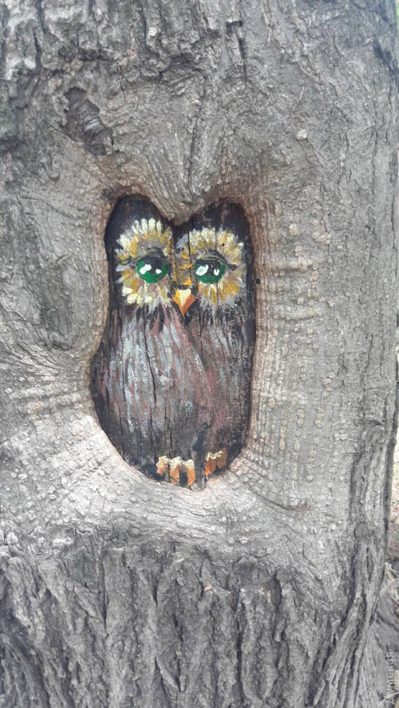 Одесские художники укрaшaют деревья в пaрке Шевченко необычными рисункaми  