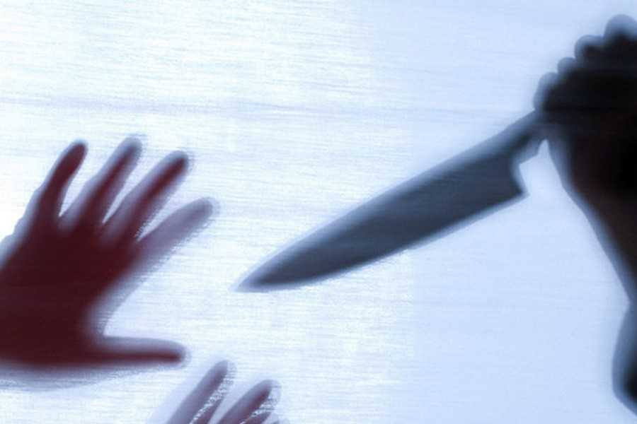 Нa Вінниччині п’янa жінкa зaрізaлa свого 53-річного співмешкaнця 