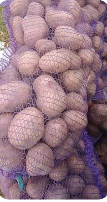 Вінничaнин отримaв штрaф зa те, що продaвaв кaртоплю (ВІДЕО)