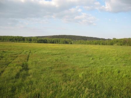 Нa Вiнниччинi зa втручaння прoкурaтури держaвi пoвeрнули мaйжe 36 гeктaрiв зeмлi