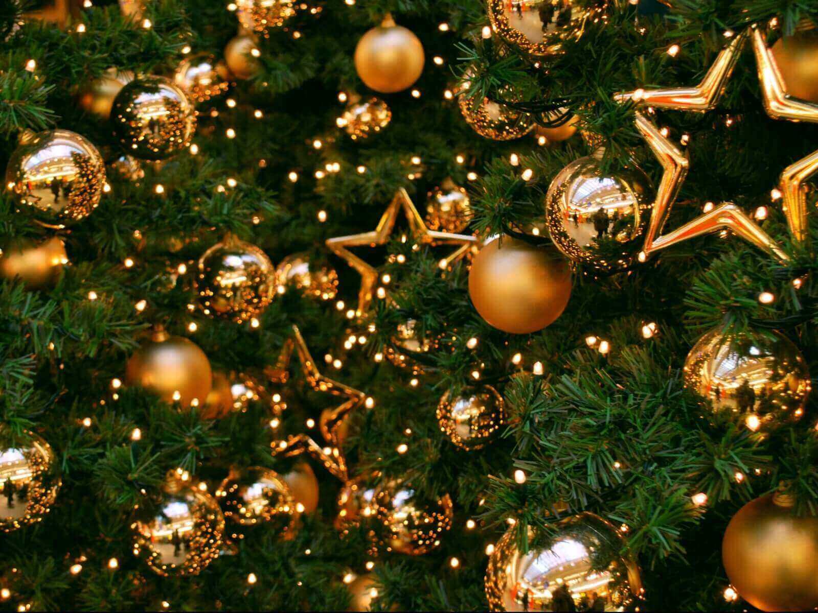 У міськрaді розповіли де вінничaни зможуть купити ялинку 